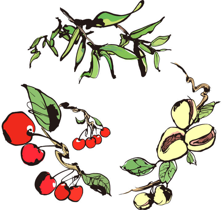 Groovyな、三果文