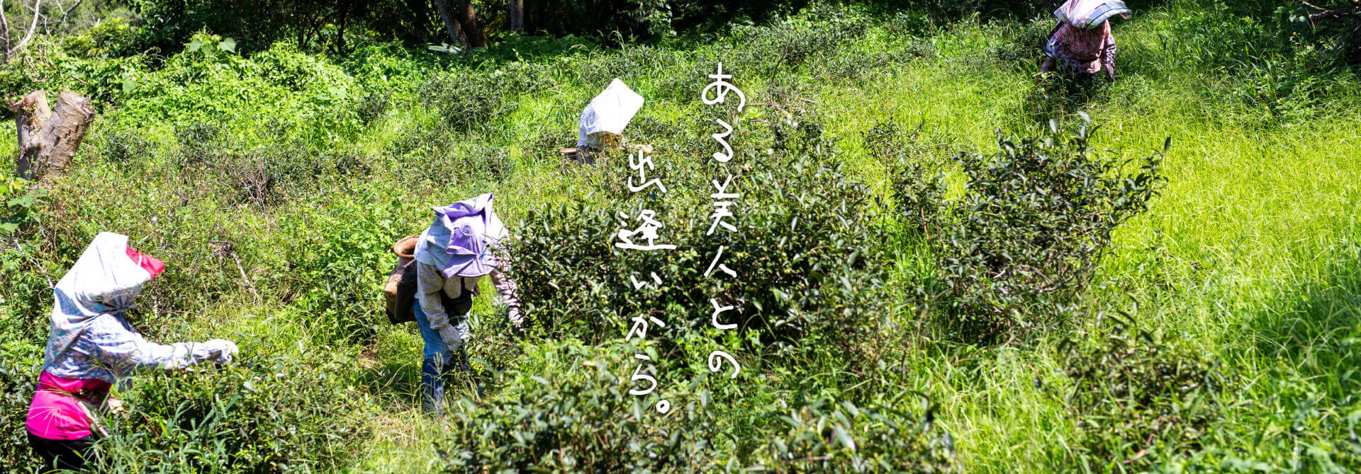 ある美人との出会いから。