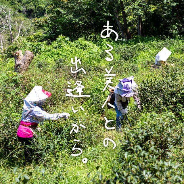 ある美人との出会いから。